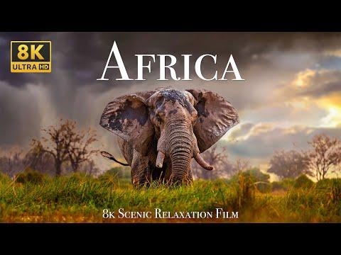 Africa 8K - Scenic Relaxation Film With Calming Music #Video