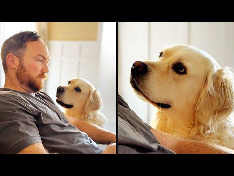 He Knew What Time It Was | YOUR Daily Dose of Pets #Video
