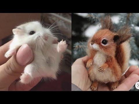 Cute baby animals Videos Compilation Cute moment of the animals - Cutest Animals #1