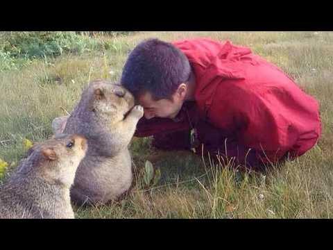 When Animals and Humans Share the Sweetest Unexpected Moments #Video