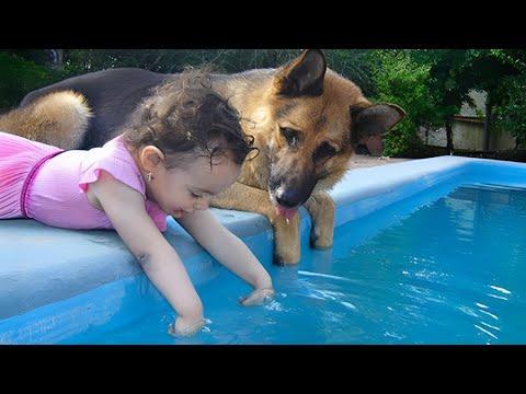 I Only Expected a Normal Dog... But What I Got Was a Silent Guardian Angel #Video