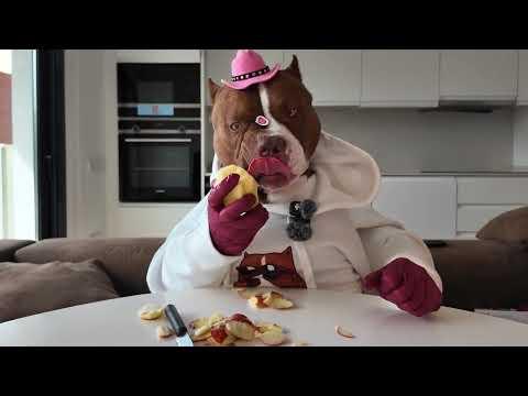 Apple a day keeps the vet away #Video