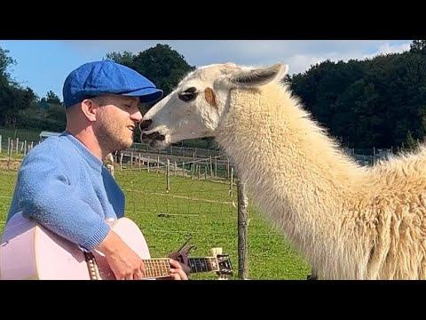 Singing for Animals Compilation #Video