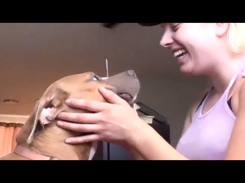 Woman saves dog but there's a catch #Video