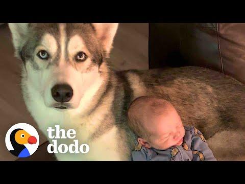 Baby Grows Up With The Best Of Friends #Video