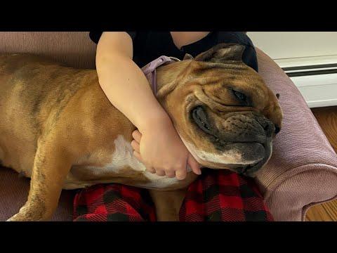 Someone rejected dog that loves hugs #Video
