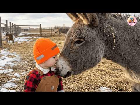 Nobody Wanted This Lonely Donkey… Then He Chose a 3-Year-Old Boy as His Best Friend #Video
