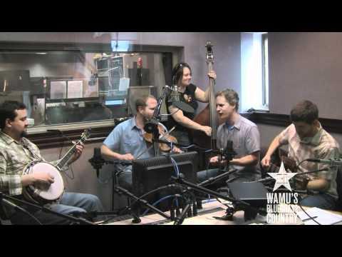 Foghorn Stringband - My Horses Ain't Hungry [Live At WAMU's Bluegrass Country]