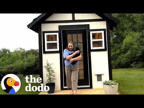 Cat Mom Builds a Custom Cabin for Her 7 Rescue Cats #Video