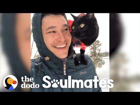 Cat And His Dad Go Backpacking Together #Video