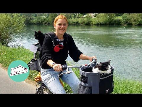 Family Bikes and HIkes With Cats in Backpacks Across Europe #Video