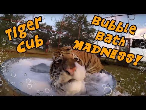 Tiger Cub Bubble Bath MADNESS!!!