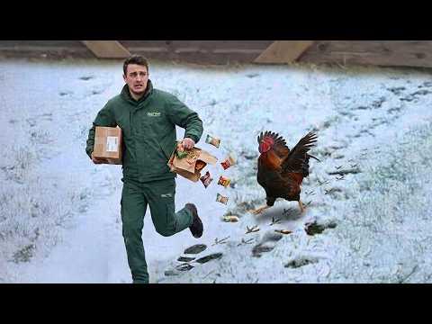 When the Delivery Driver Is Every Animal's Favorite Visitor #Video