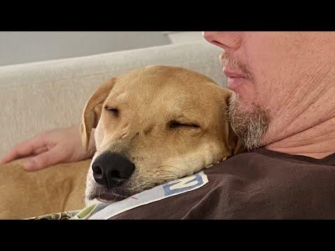 Rescue dog is obsessed with dad #Video