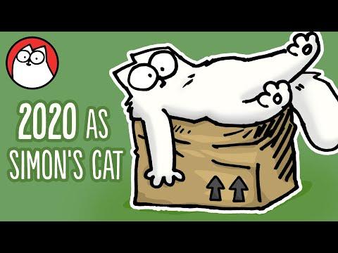2020 Through The Eyes Of Simon's Cat Video