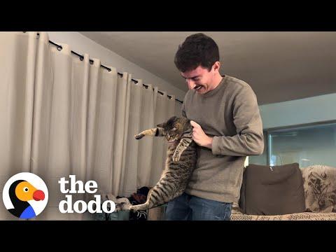 When Your Boyfriend Says He's More Of A Dog Person #Video