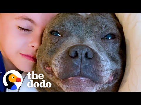 Kid Writes A Love Letter To His Pittie #Video