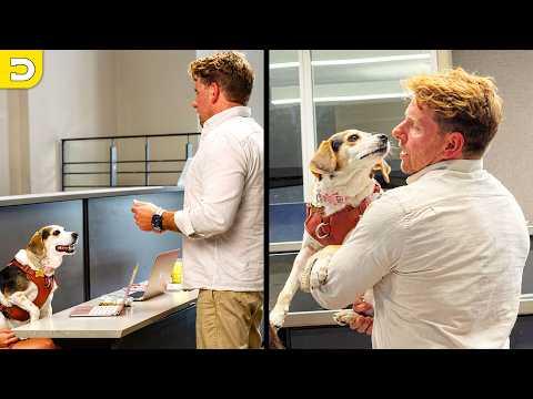 Dog Crashes College Lecture | YOUR Daily Dose of Pets #Video