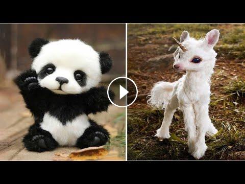 Cute baby animals Videos Compilation cutest moment of the animals - Soo ...