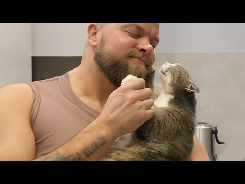 The Man's Best Friend Is His Cat - Cat and Human Moments #Video
