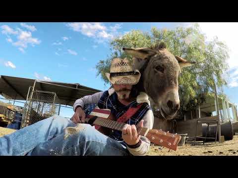 Donkey Blues with Windy the Donkey #Video