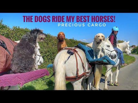 We hit the trails for the first time! Emma Massingale #Video