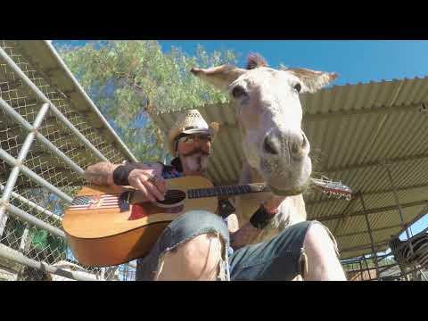 Rocket Man Cover Sang To A Donkey #Video