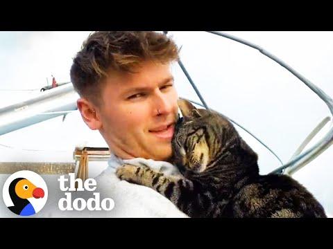 These Cats And Their Dads Are The Cutest Duos #Video