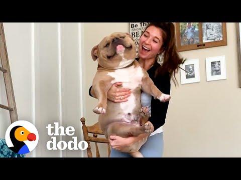 Woman Gets 'Perfect Dog' From Breeder Then Realizes Something's Wrong #Video