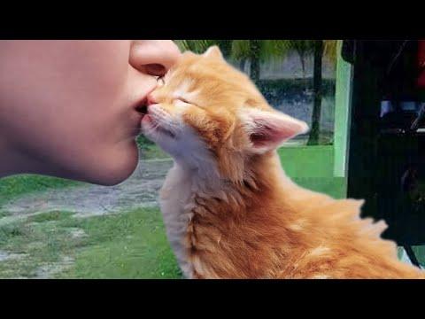 Cats Love Their Owner On A Different Level But It's Real Love #Video
