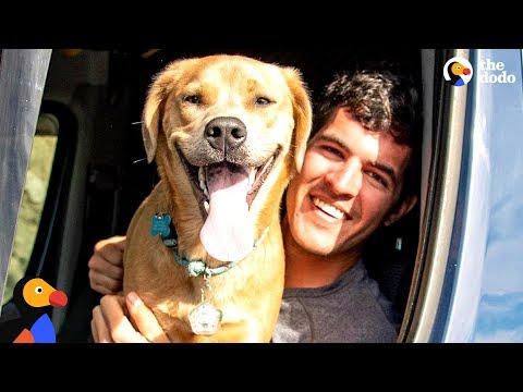Guy And His Dog Travel Around In A Van | The Dodo