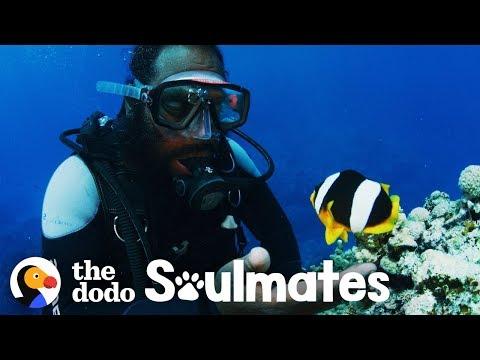 Clownfish Named Nemo Has 10-Year Friendship With This Diver | The Dodo Soulmates