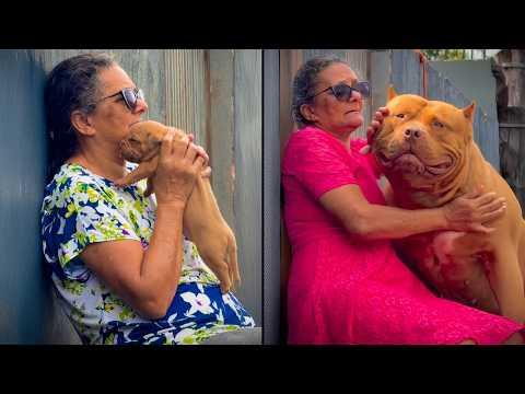 You Won’t Believe This Puppy Transformation #Video