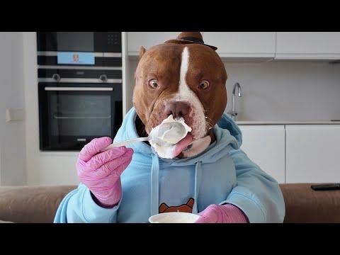 CHOCOLUNCH: Greek Yougurt #Video