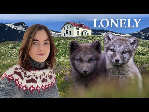 I stay in Iceland's Loneliest House to Find a Rare Baby Fox #Video