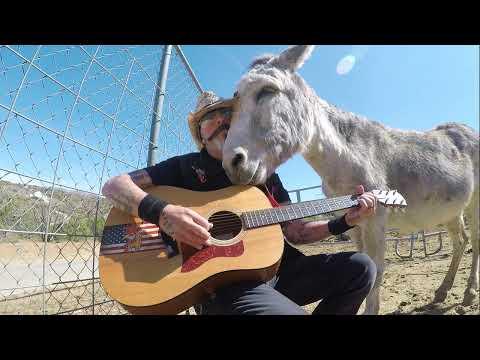 Hazel the Donkey best of Hugs #Video