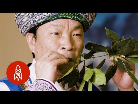 This Musician Plays the Leaf