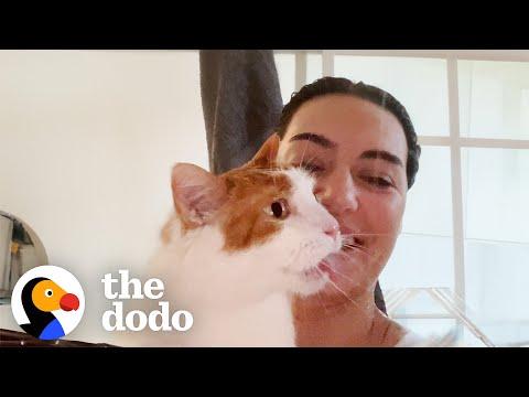 This Senior Rescue Cat Is Obsessed With Shower Time #Video