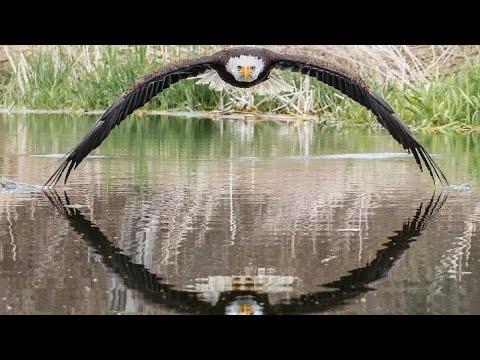 25 Once in a Lifetime Photos #Video