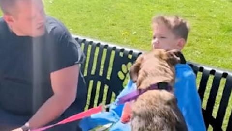 Dad Takes His Son To The Shelter Insisting They Can't Get A Dog #Video