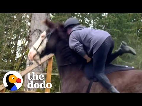 Horse Didn't Trust His Mom Until She Watched Movies With Him #Video