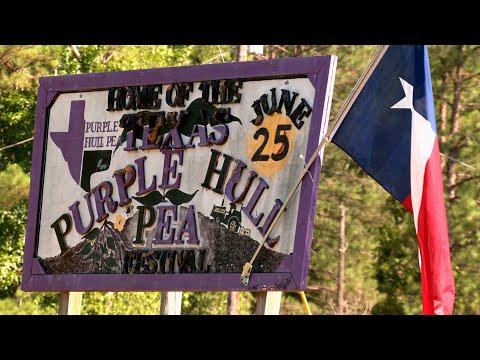 Texas Purple Hull Pea Festival (Texas Country Reporter) #Video