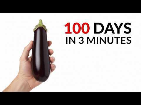 EGGPLANT Timelapse #Video