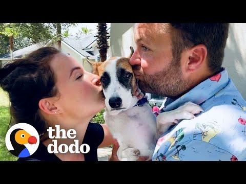 Couple Travels Thousands Of Miles To Adopt This Puppy #Video