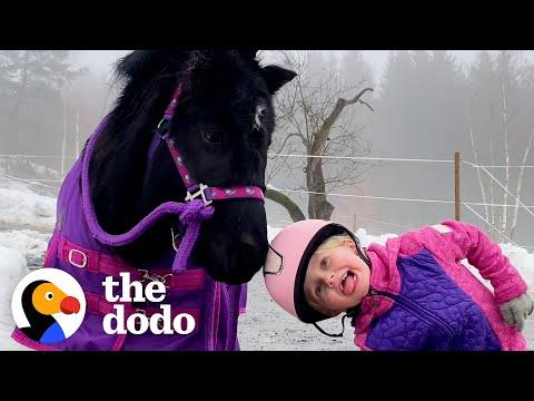 Girl and Her Mini Pony BFF Do Everything Together #Video
