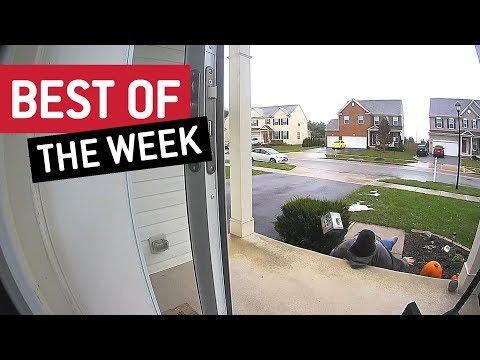 The Very Best Viral Videos of the Week!