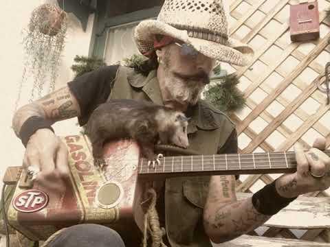 It's Baby Opossum season and they are enjoying music on a gas can guitar #Video