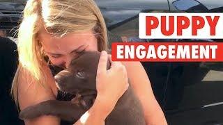 Puppy Proposal | She Said Yes!