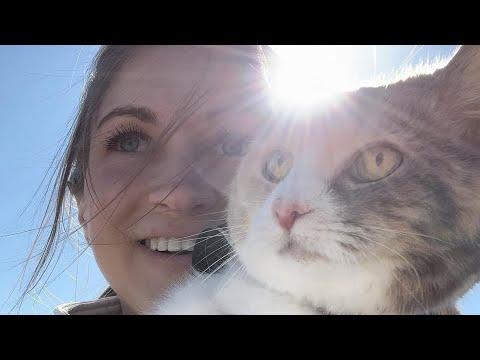 Woman does sweetest thing for cat's final years #Video