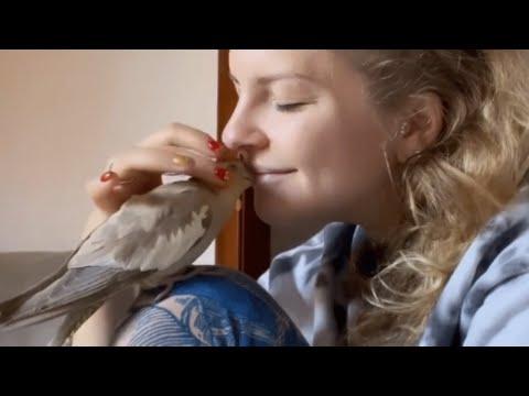 A tiny parrot has become this woman's emotional support animal #Video